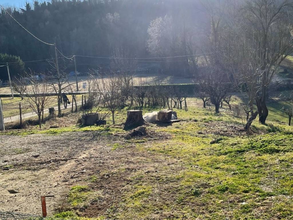 Rustico / casale a Fubine monferrato - Foto 2