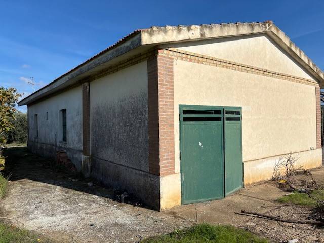 Rustico / casale a Guglionesi in Contrada Chiancate - Foto 3