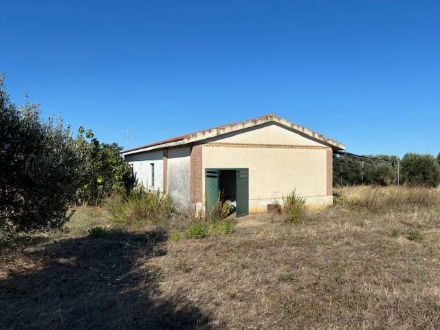Rustico / casale a Guglionesi in Contrada Chiancate - Foto 4