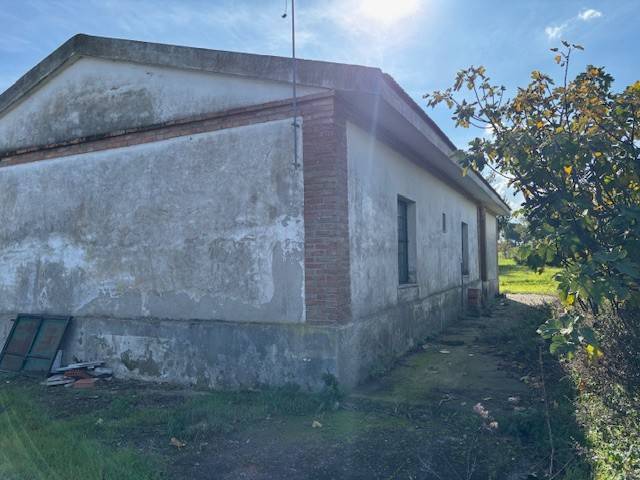 Rustico / casale a Guglionesi in Contrada Chiancate - Foto 5