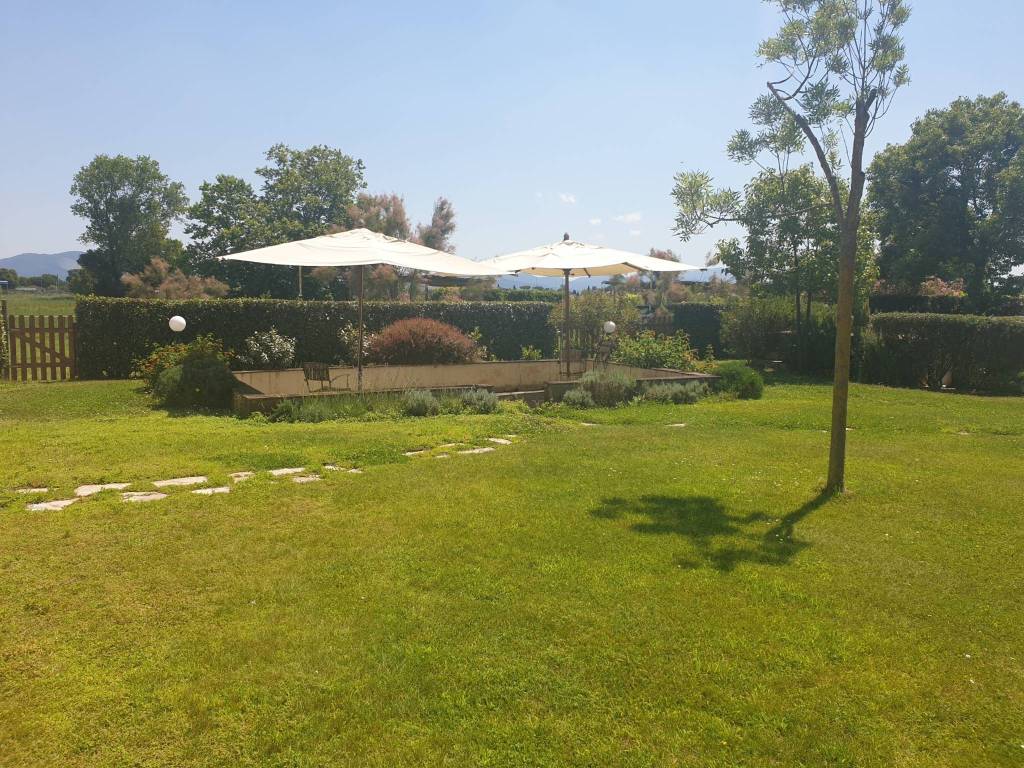 Rustico / casale a Viareggio - Foto 4