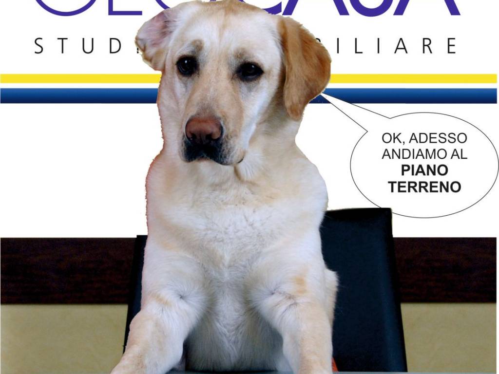 Villa a Sala biellese in Via Pietro Micca - Foto 5