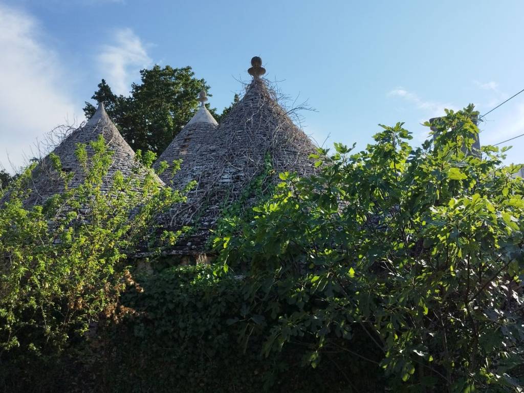 Rustico / casale a Cisternino in Contrada Figazzano - Foto 4