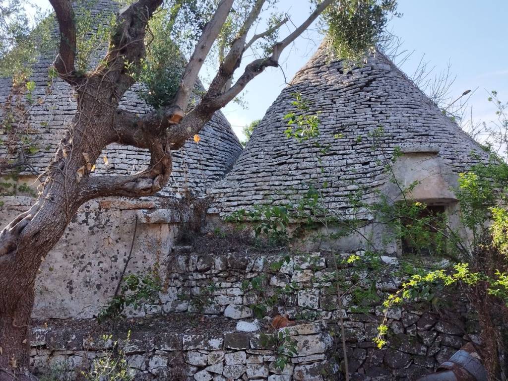 Rustico / casale a Cisternino in Contrada Figazzano - Foto 5