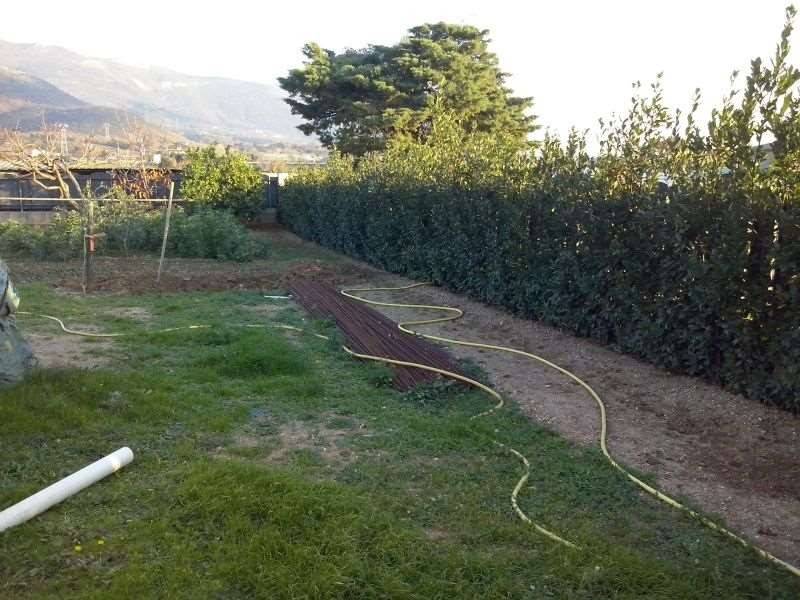 Terreno a Albenga - Foto 5