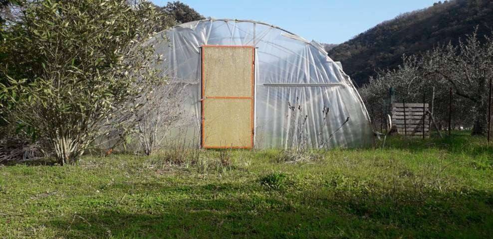 Casa indipendente a Ortovero - Foto 3