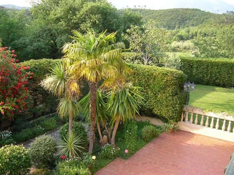 Villa a Villanova d'albenga - Foto 4