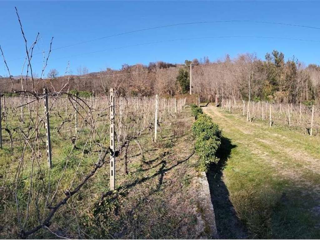 Rustico / casale a Albenga - Foto 2