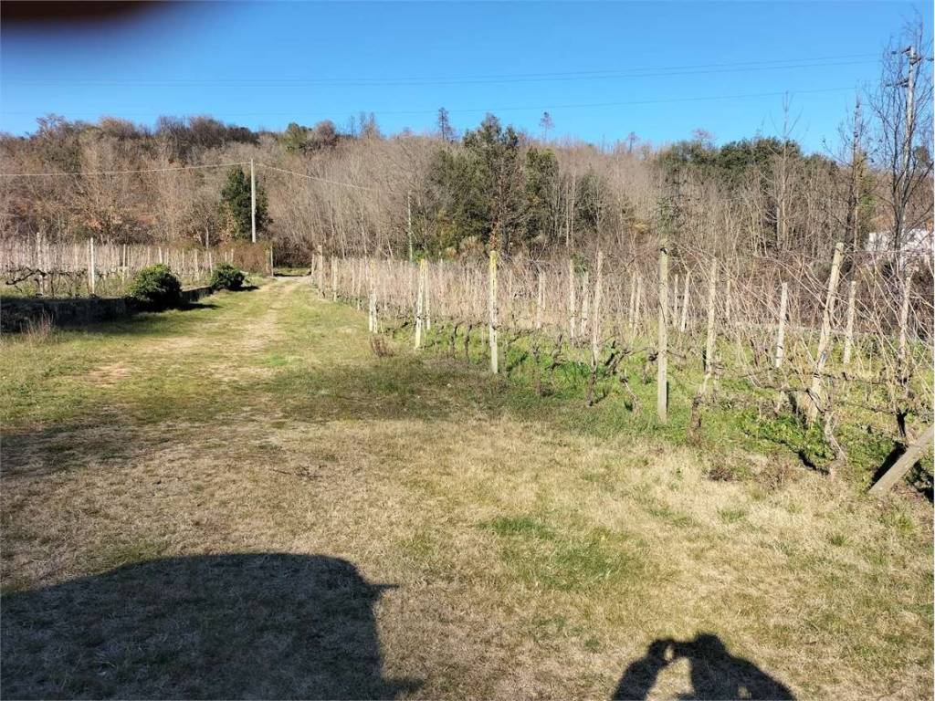 Rustico / casale a Albenga - Foto 3