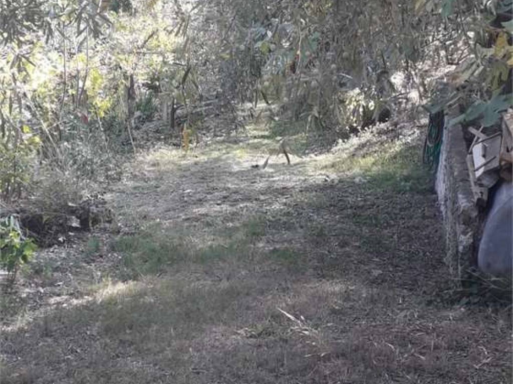 Terreno a Albenga - Foto 2