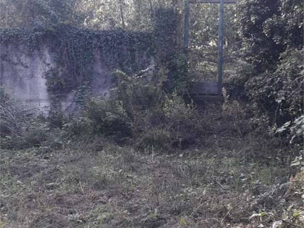 Terreno a Albenga - Foto 3