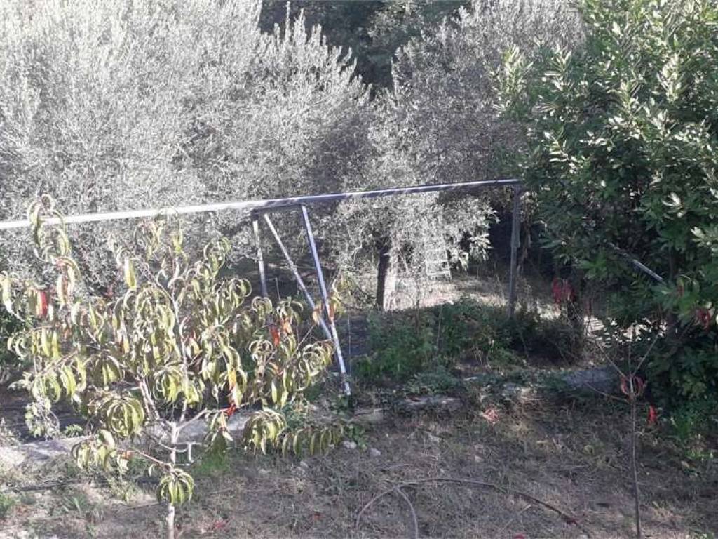 Terreno a Albenga - Foto 5