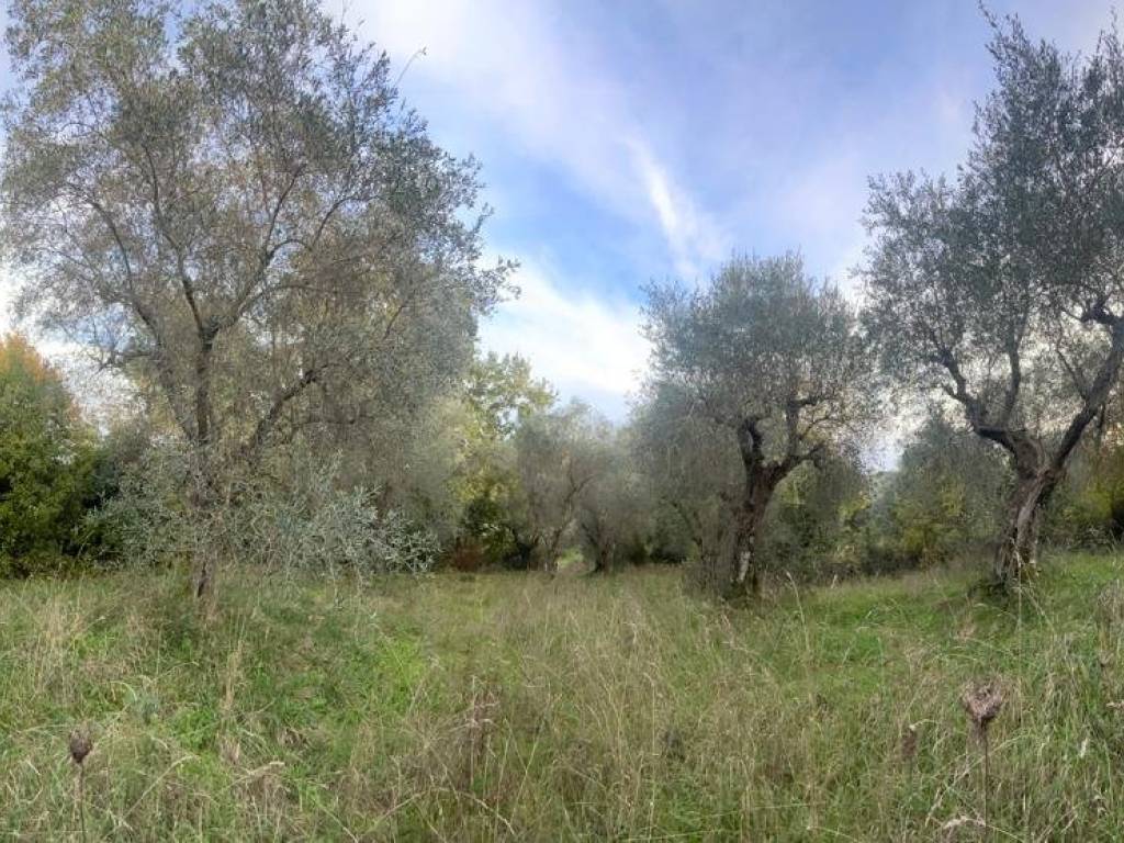 Terreno a Manciano in Strada Provinciale Scansanese - Foto 2