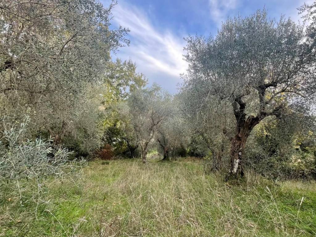 Terreno a Manciano in Strada Provinciale Scansanese - Foto 5