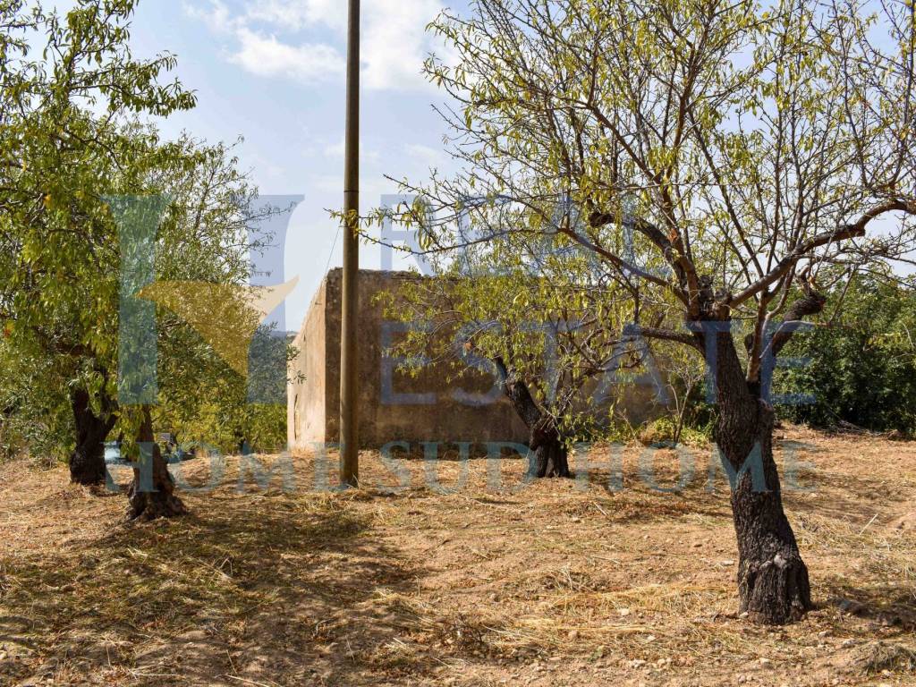 Rustico / casale a Noto in Via Tommaso Fazello, 228 - Foto 2