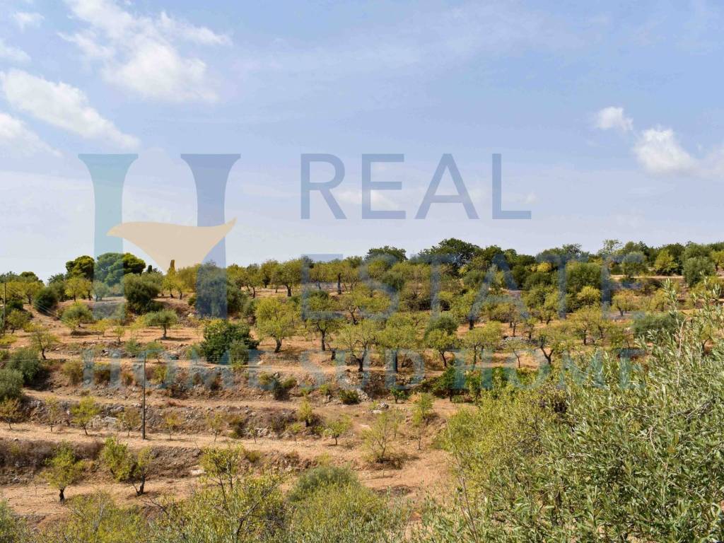 Rustico / casale a Noto in Via Tommaso Fazello, 228 - Foto 4