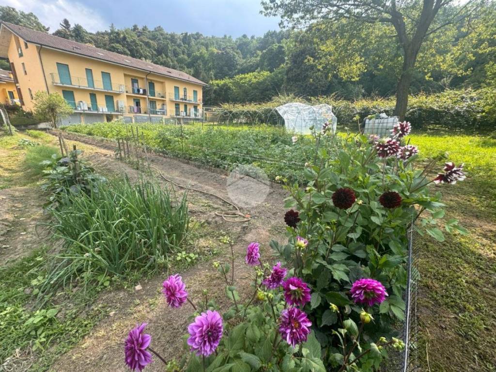 Terreno a Barge in Via cavallotta - Foto 2