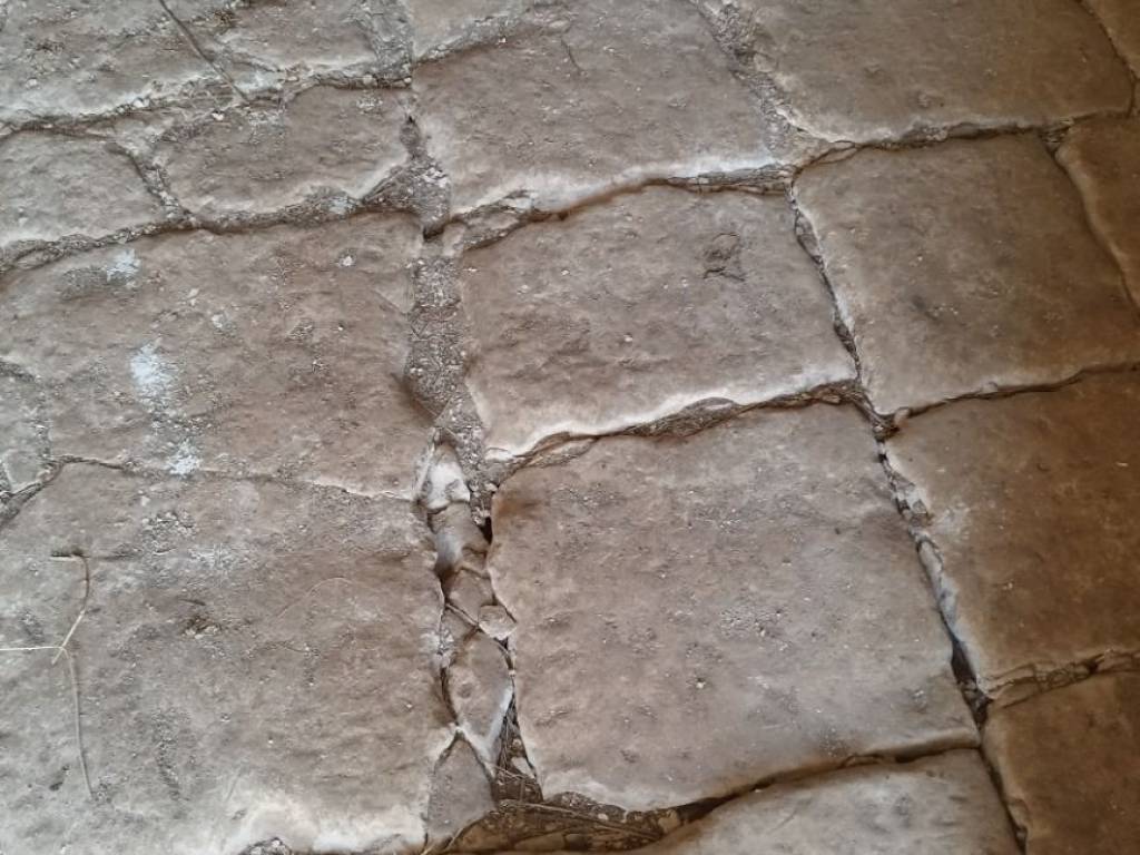 Rustico / casale a Cisternino in C.da Perigno - Foto 3