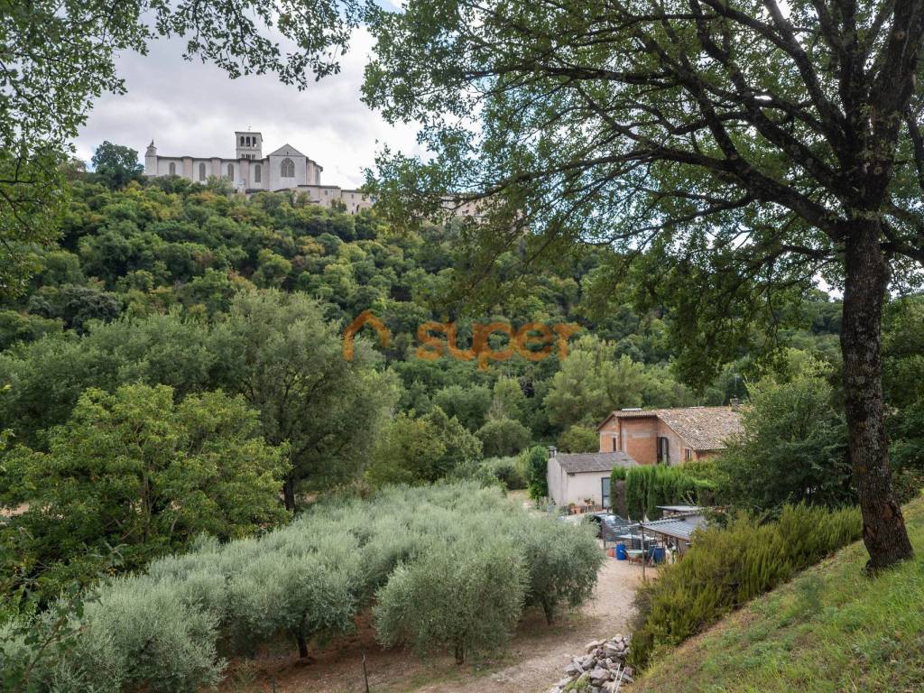 Appartamento a Assisi in Via Vittorino, 8 - Foto 2
