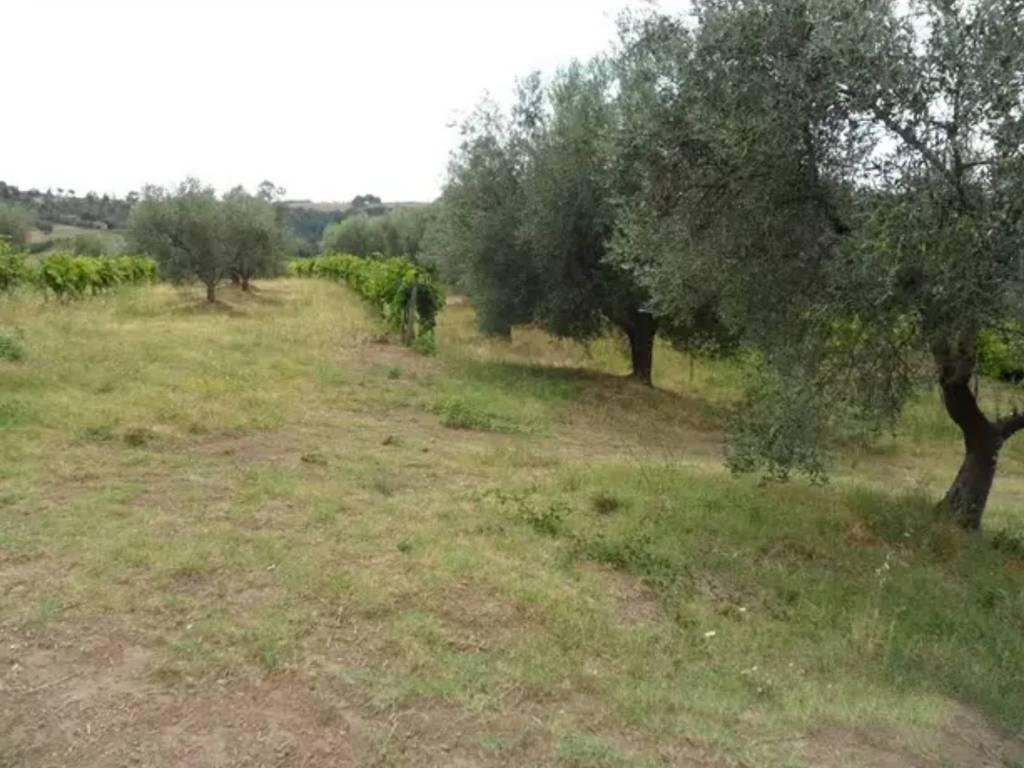 Casa indipendente a Pitigliano in Via Formica e Cavalluccio - Foto 5