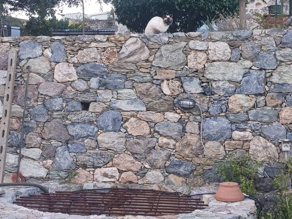 Appartamento a Noli - Foto 2