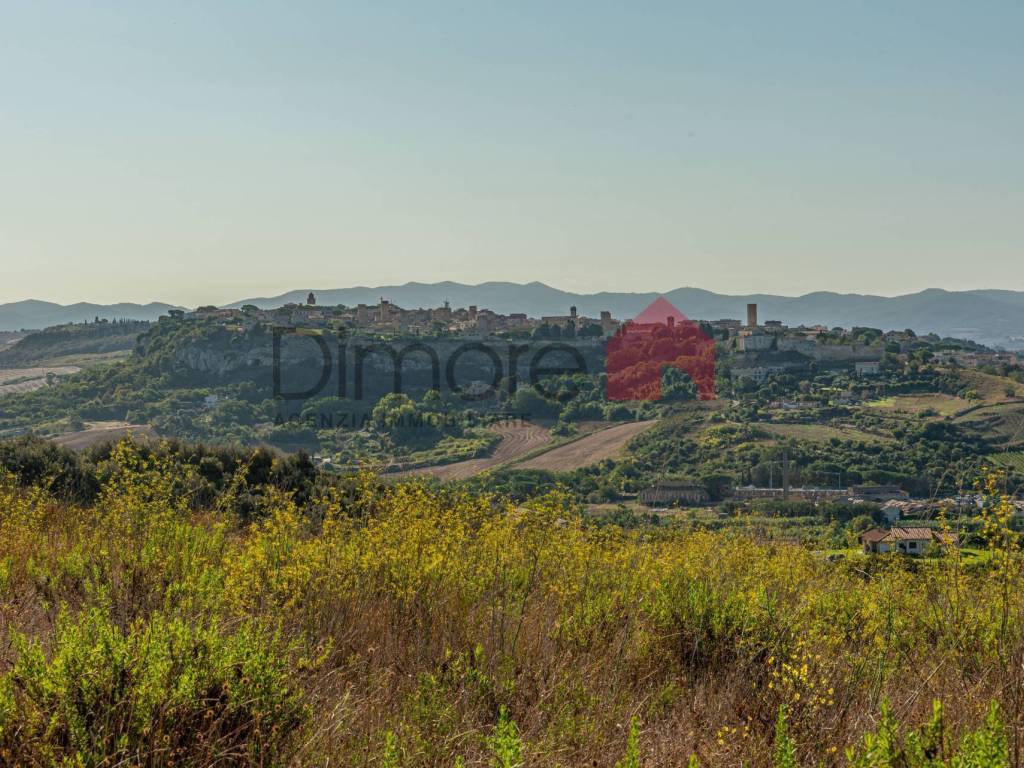 Terreno a Tarquinia in Località Bandita San Pantaleo - Foto 2
