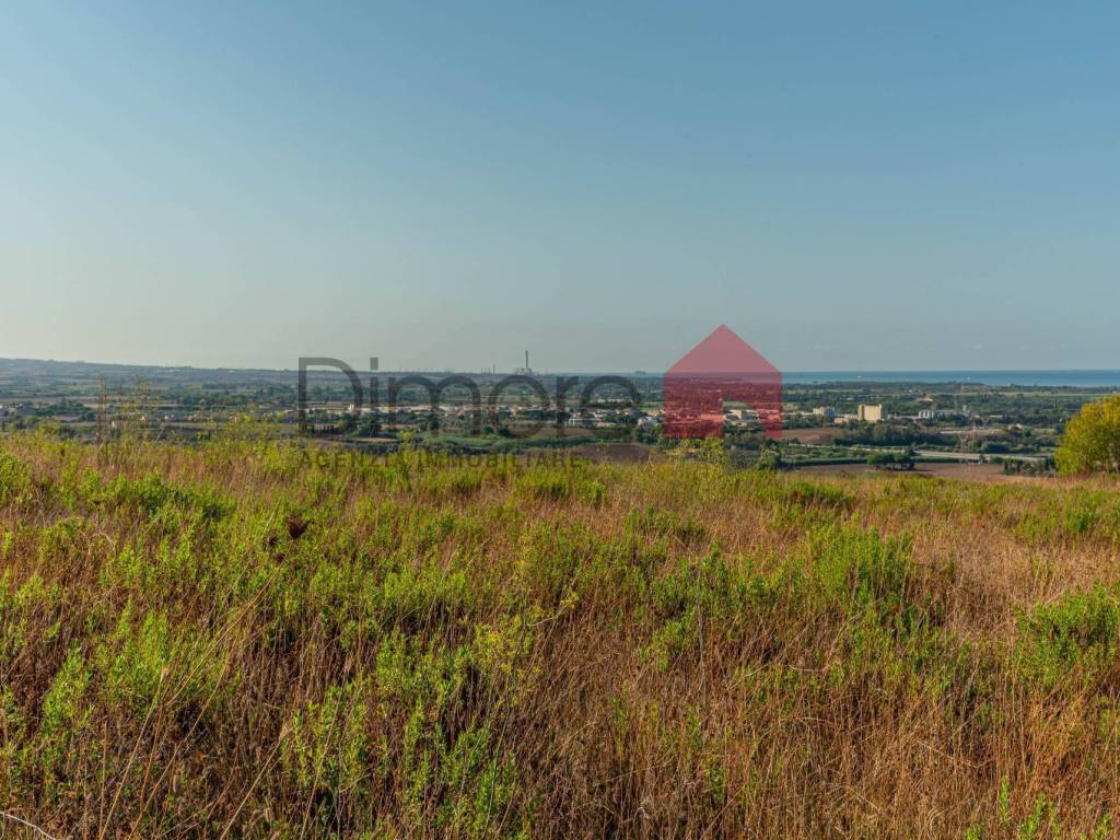 Terreno a Tarquinia in Località Bandita San Pantaleo - Foto 4