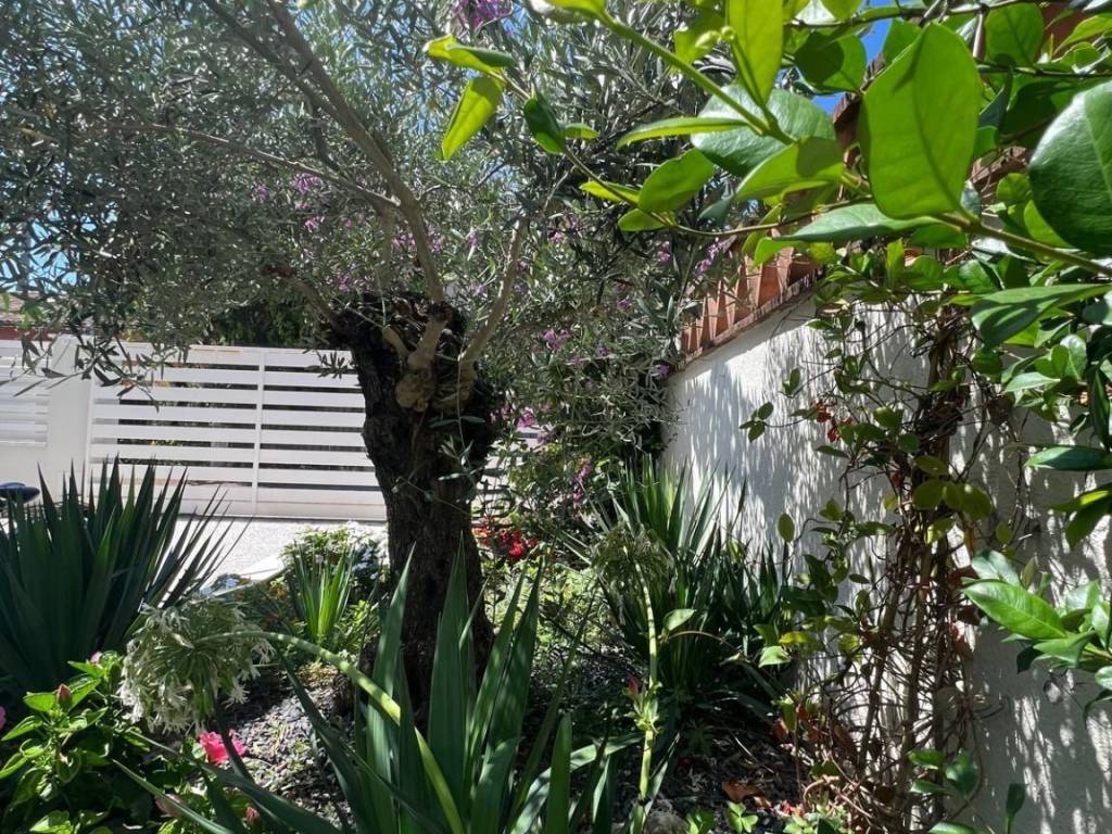 Villa a Forte dei marmi in Via Piave - Foto 2