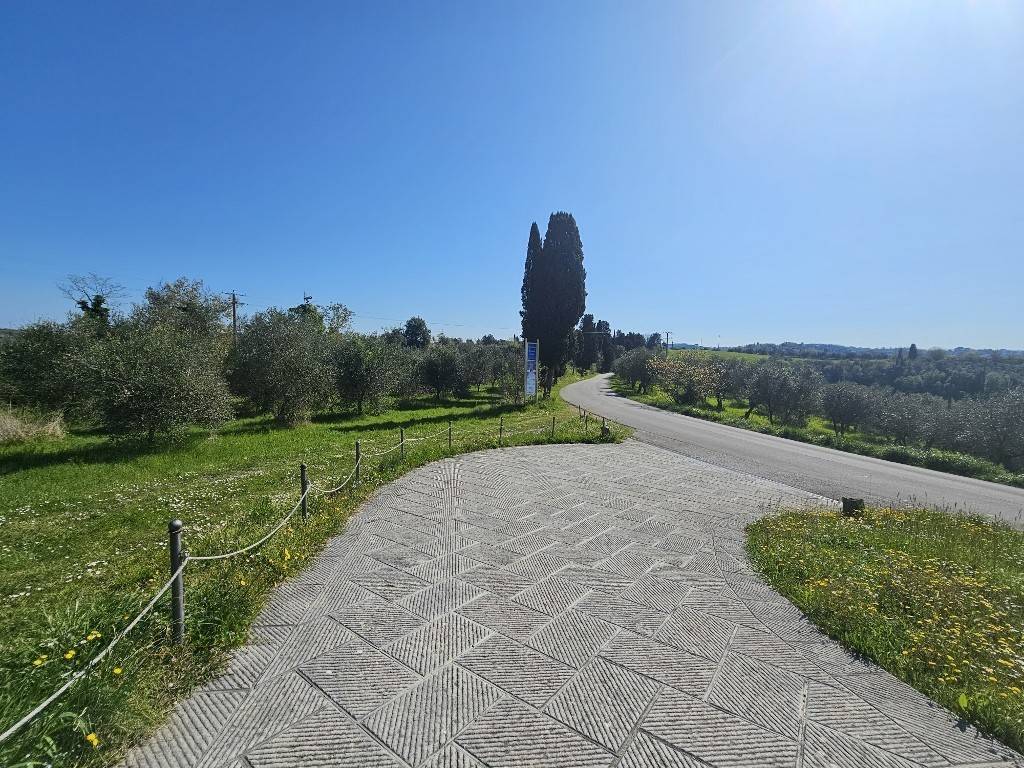 Palazzo / stabile a Palaia in Via Panoramica, 30 - Foto 4