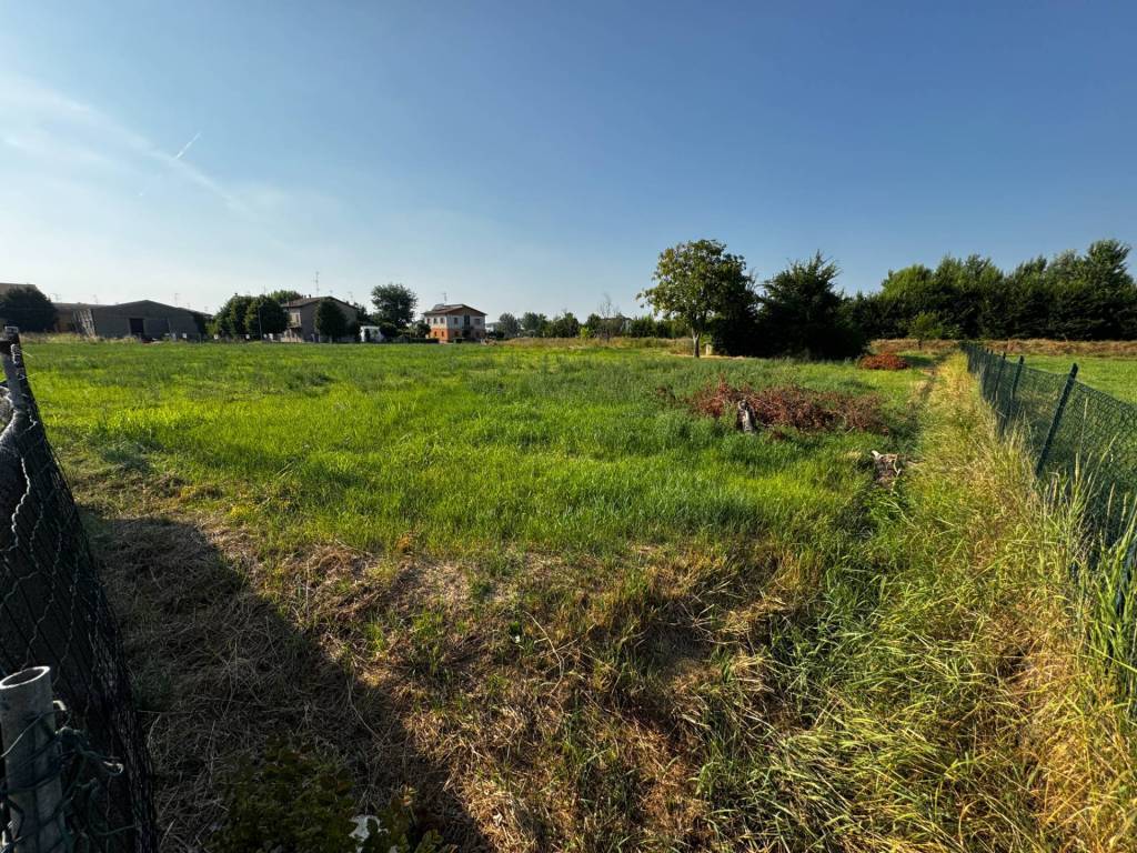 Terreno a San felice sul panaro - Foto 5