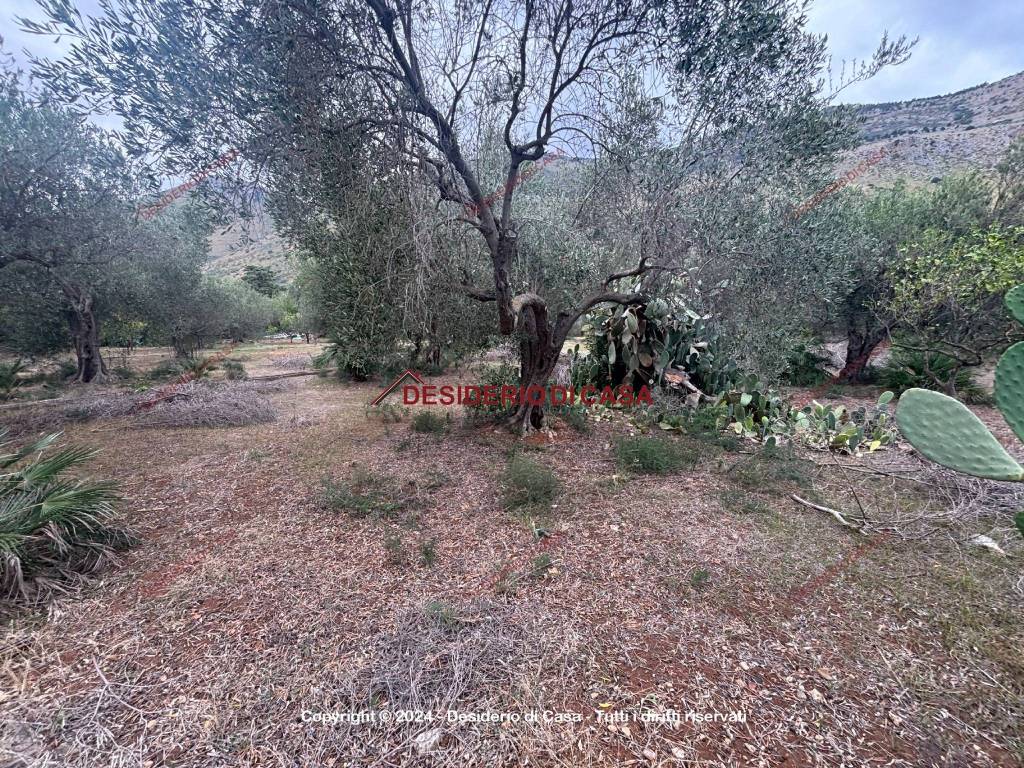 Terreno a Carini in Via Enrico Berlinguer, 1 - Foto 4
