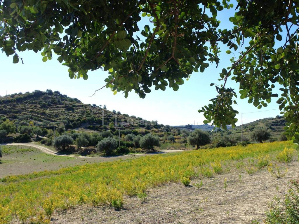 Terreno a Avola in C.da Bochini - Foto 3