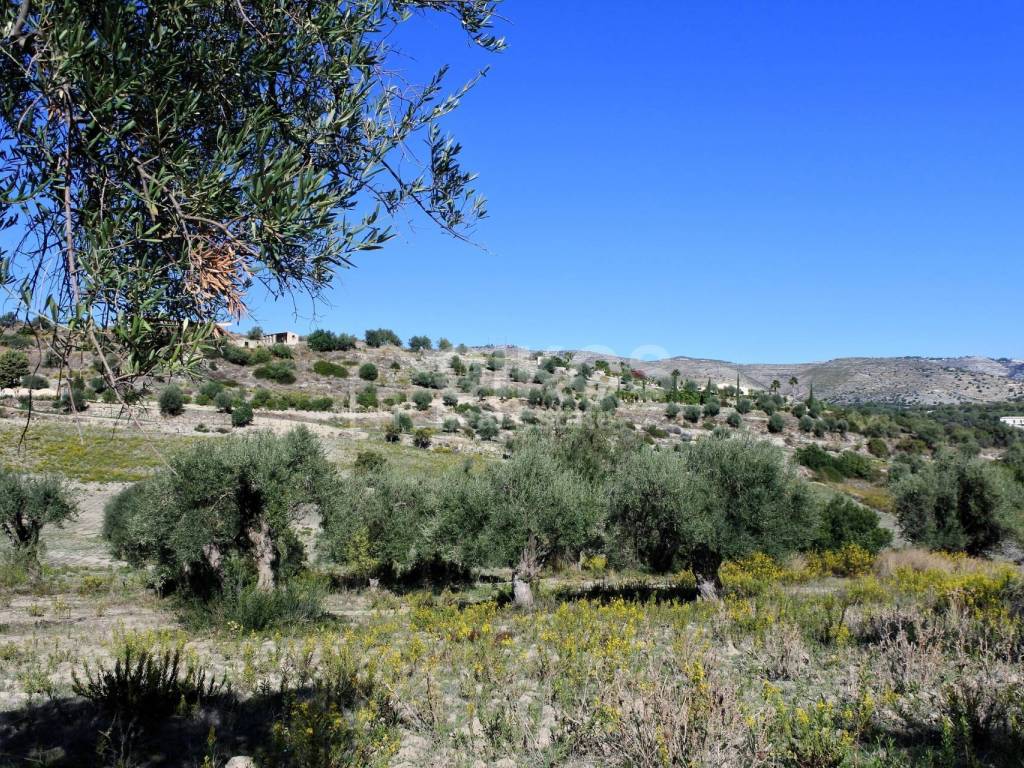 Terreno a Avola in C.da Bochini - Foto 4