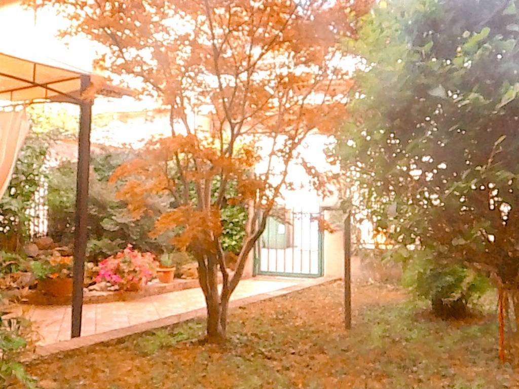 Villa a Sanfrè - Foto 2