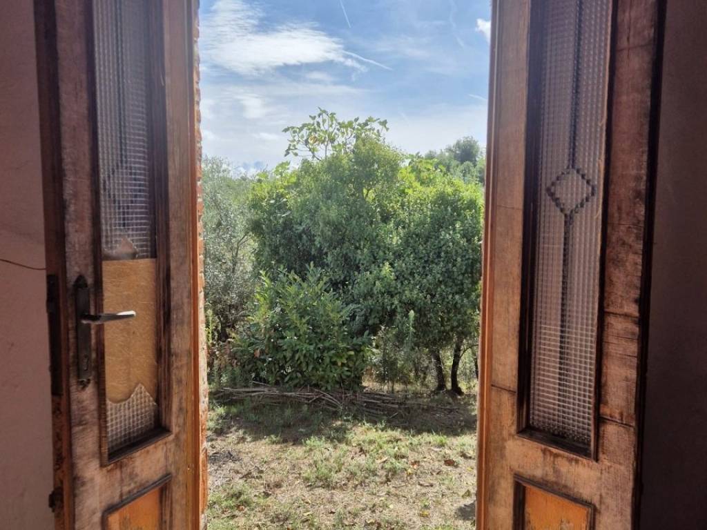 Rustico / casale a Cavriglia - Foto 2