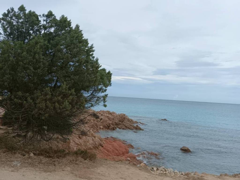 Villa a Arzachena - Foto 3