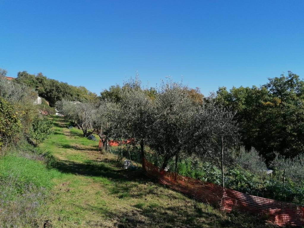 Terreno a Montevarchi in Via di Rendola - Foto 2