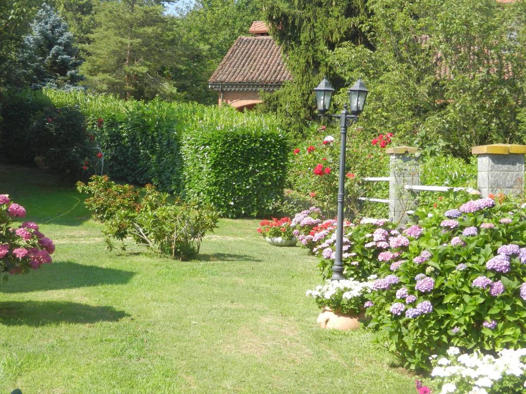 Villa a Cassinelle - Foto 5