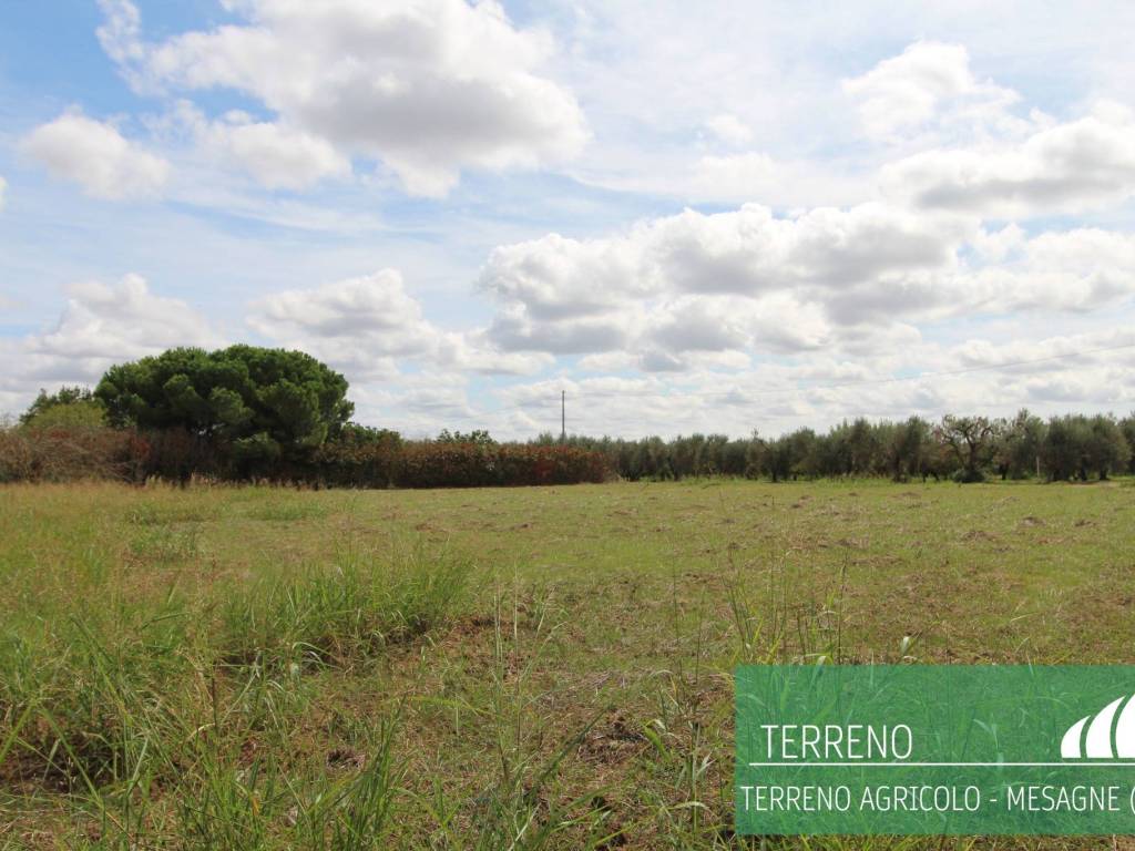 Terreno a Mesagne - Foto 2