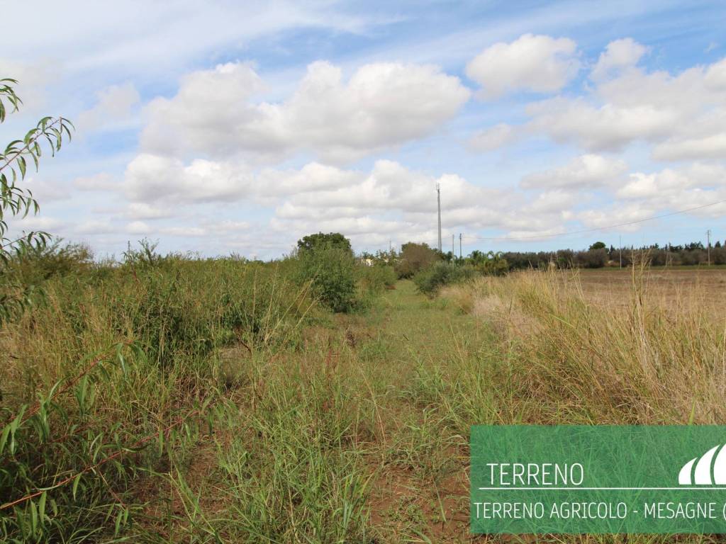 Terreno a Mesagne - Foto 3