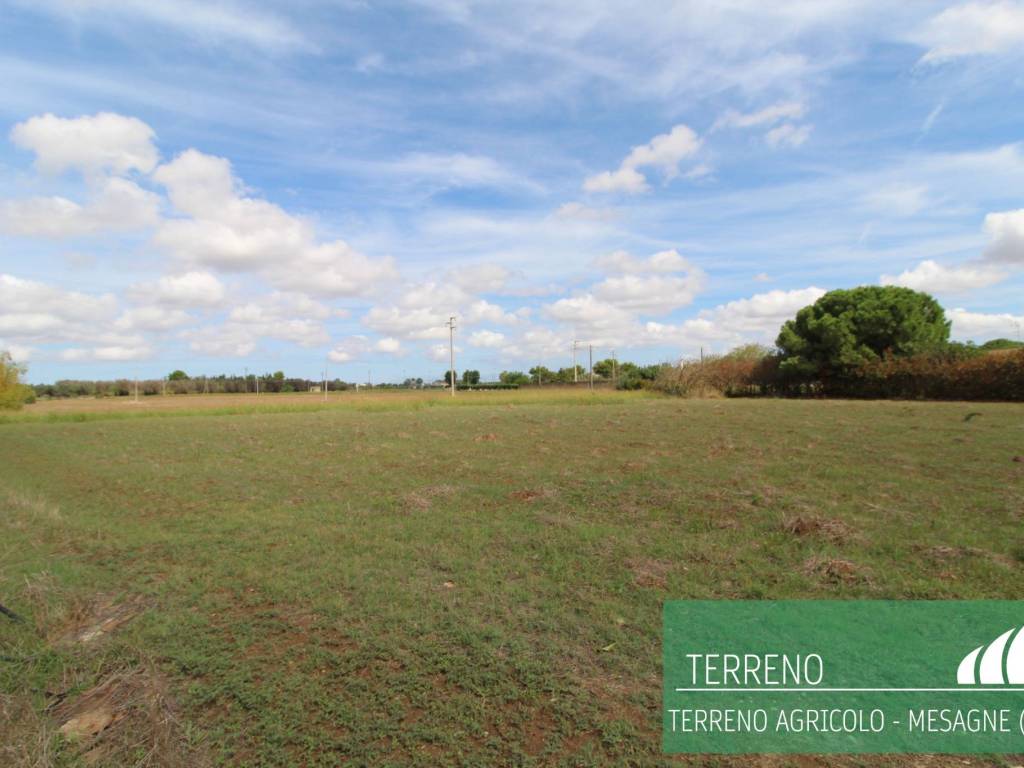 Terreno a Mesagne - Foto 5
