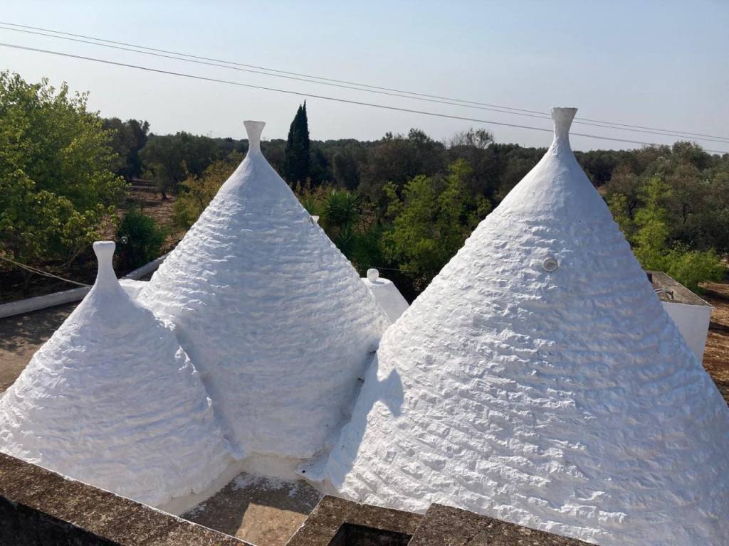 Villa a Ceglie messapica in CONTRADA MADONNA PICCOLA - Foto 3