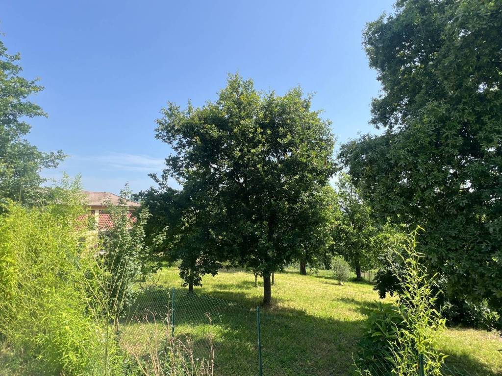 Rustico / casale a Castagnole delle lanze in Via Boschi, 5 - Foto 3