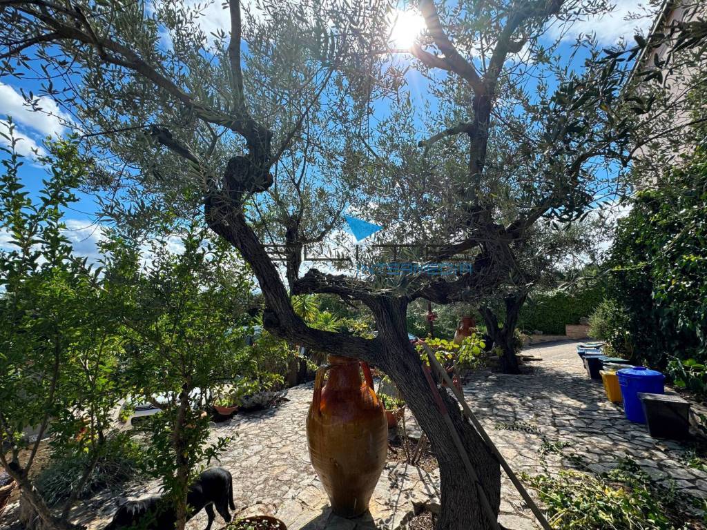 Villa a Francavilla al mare in Contrada Castelvecchio, 4 - Foto 5