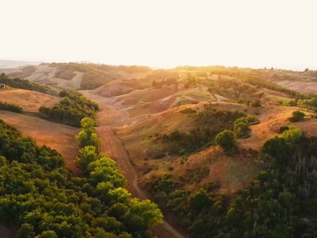 Rustico / casale a Asciano - Foto 3