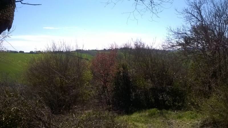 Rustico / casale a Belvedere ostrense - Foto 3