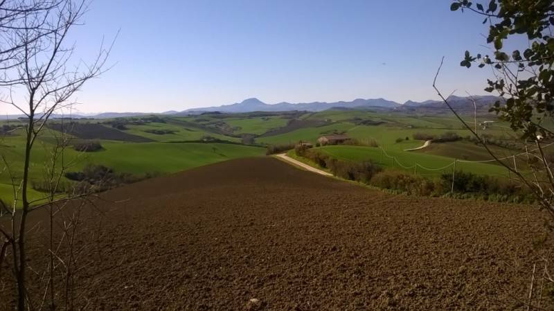 Rustico / casale a Belvedere ostrense - Foto 4