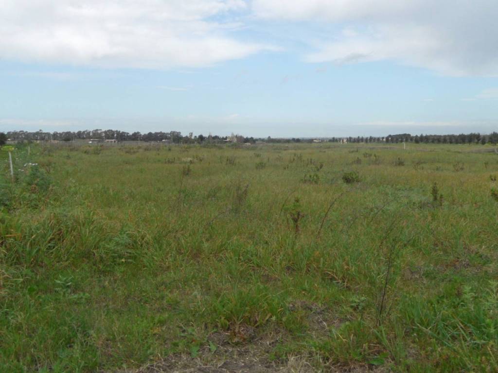 Villa a Menfi in Via Cosenza - Foto 3