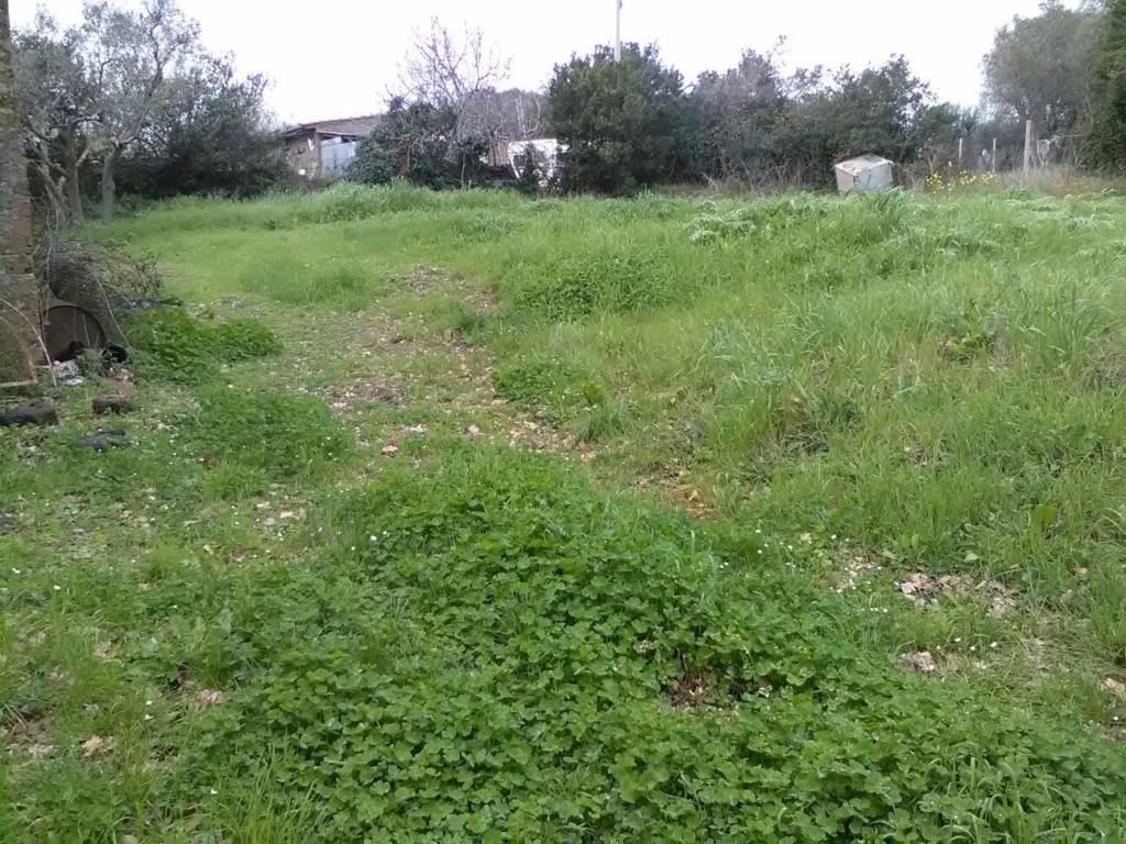 Terreno a Monte romano in Piazza Statuto, 3 - Foto 5