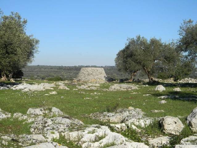 Terreno a Salve in Località Macchia Fersini-Primitivo - Foto 2